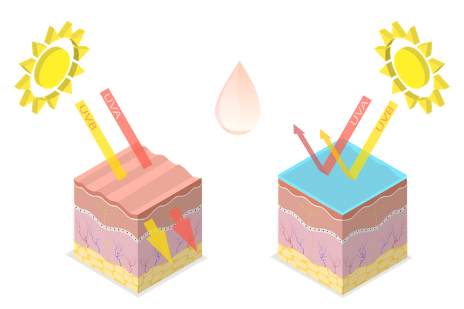 Protection From Ultraviolet Rays  Illustration