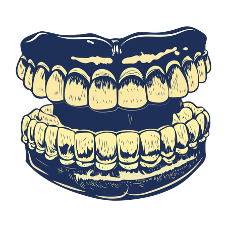 Dentier  Illustration