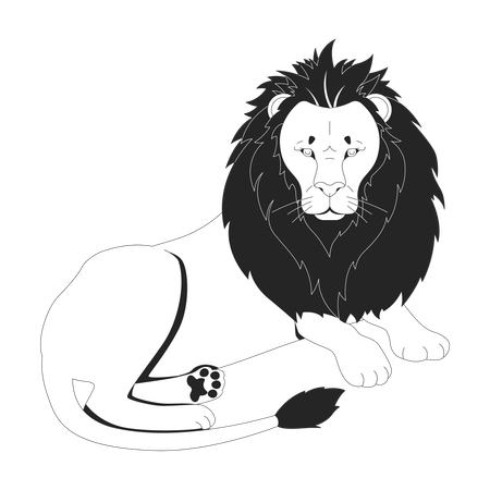 Proud lion lying down with intense gaze and voluminous mane  Illustration