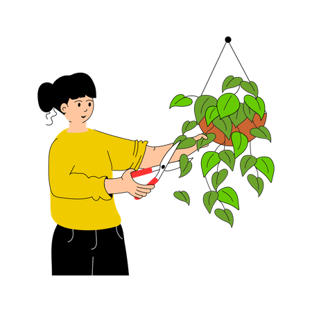 Pruning  Illustration