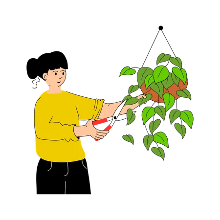 Pruning  Illustration