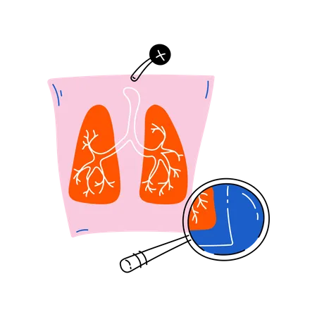 Pulmonary examination  Illustration