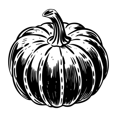 호박  일러스트레이션