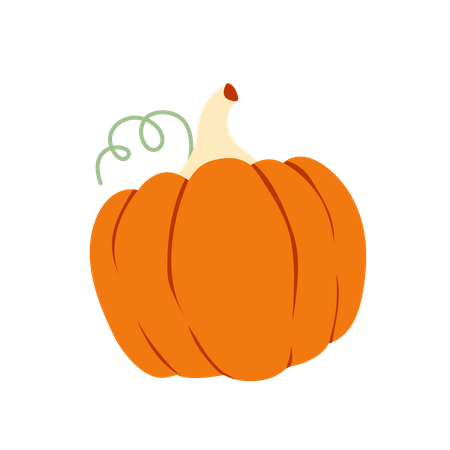 Pumpkin  Illustration