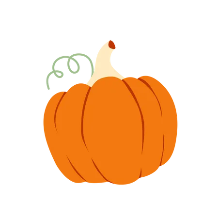 Pumpkin  Illustration