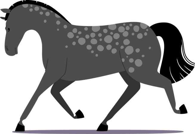 Purebred Grey Horse Illustration