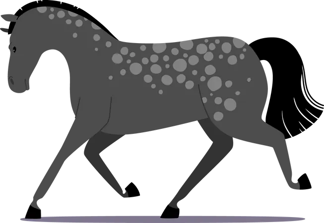 Purebred Grey Horse With Spots On Skin Isolated On White Background Arab Mustang Stallion Farm Or Ranch Domestic Animal Mare Side View Trained Trotter Run Cartoon Vector Illustration 일러스트레이션