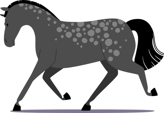 Purebred Grey Horse  Illustration