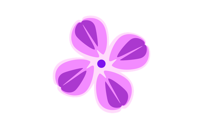 Purple Orchid Flower  Illustration