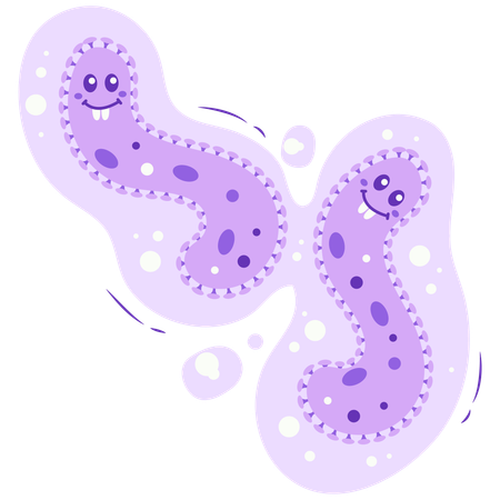 Purple Wiggly Twin Virus  Illustration