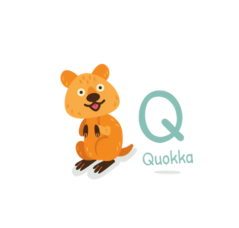 Quokka  Illustration