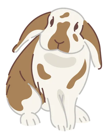 Rabbit  Illustration