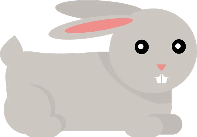 Rabbit  Illustration