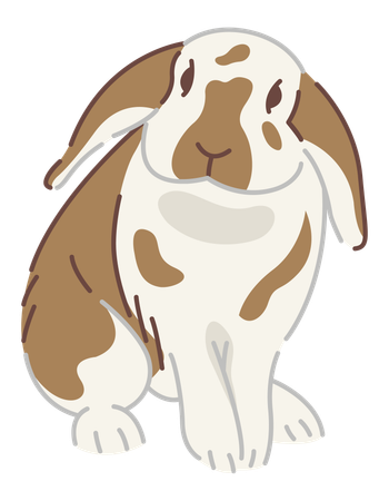 Rabbit  イラスト