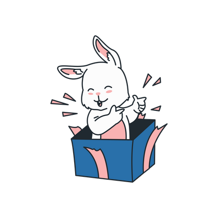 Rabbit in box  イラスト