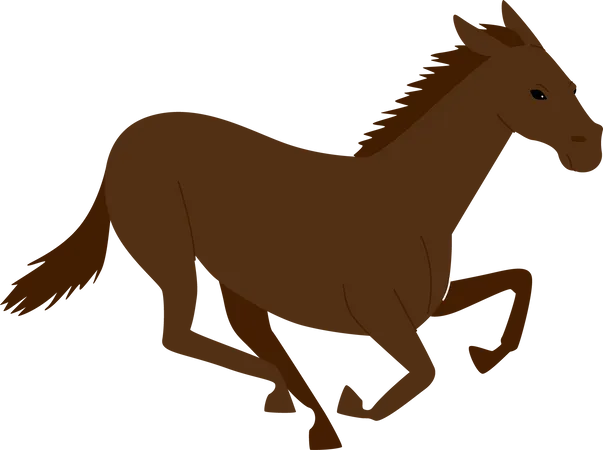 Racing Horse  Illustration