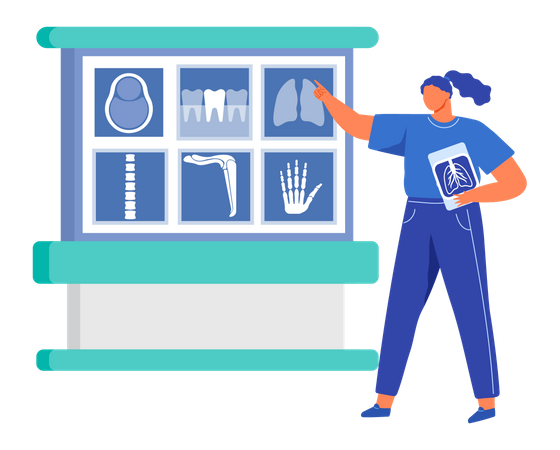 Radiologist doing x-ray analysis  Illustration