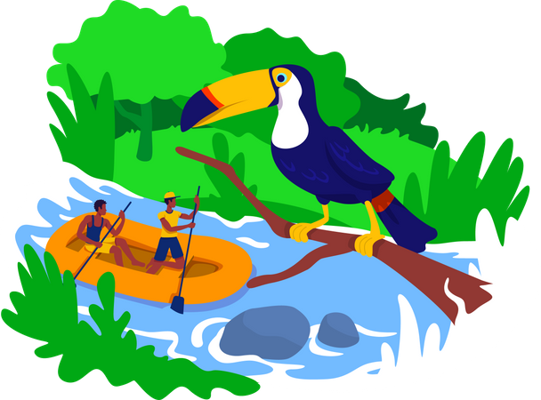 Rafting  Illustration