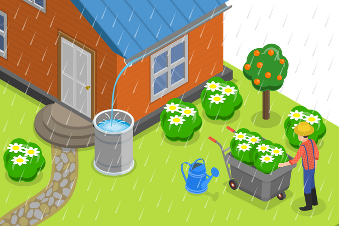 Rainwater Harvesting  Illustration