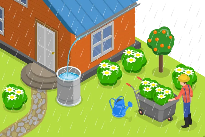 Rainwater Harvesting  Illustration