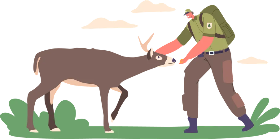 Ranger Forester Character Feeding Deer Giving Sustenance To Wild Animals In Their Natural Habitat Wildlife Management Preservation And Protection Efforts For Sustainable Ecosystems Illustration イラスト