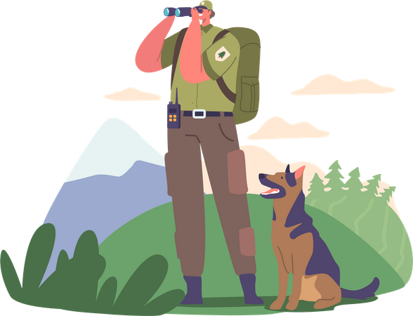 Ranger Forester Observes Through Binoculars Illustration