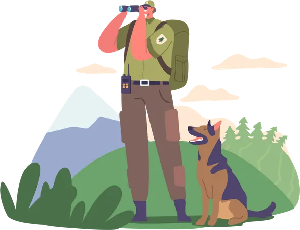 Ranger Forester Observes Through Binoculars Illustration