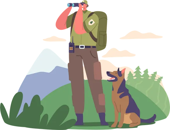 Ranger Forester Observes Through Binoculars  Illustration