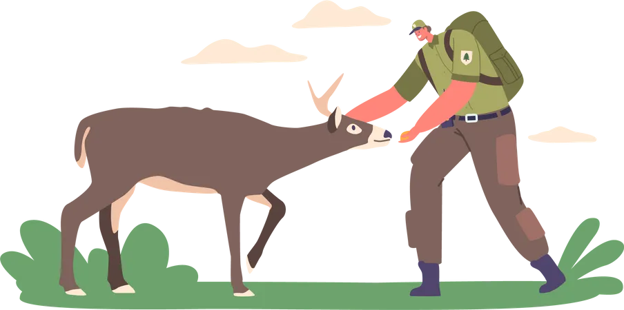 Ranger forestier nourrissant un cerf  Illustration