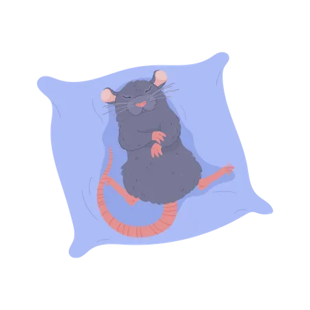 Rat dormant sur un coussin moelleux  Illustration