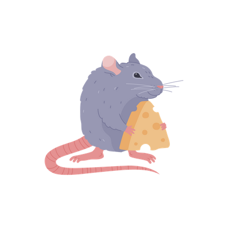 Rat holding cheese  イラスト