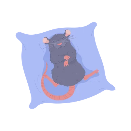 Rat Cute Pet Animal Sleeping On Soft Cushion Flat Vector Illustration Isolated On White Background Keeping Rats At Home As Pets Funny Animal For Print 일러스트레이션