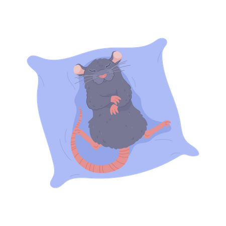 Rat sleeping on soft cushion  Illustration