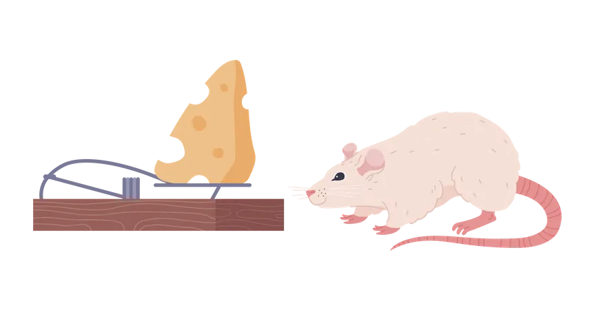 Smiling Little Rat Sniffing Cheese In Mousetrap Flat Style Vector Illustration Isolated On White Background Decorative Design Element Rodent Animal Home Pest イラスト