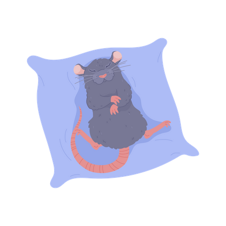 Rata durmiendo sobre un cojín suave  Ilustración
