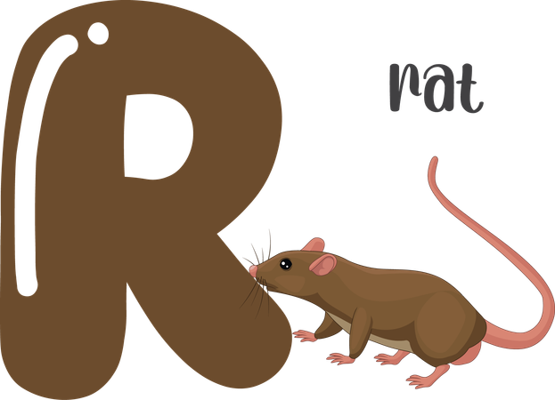 Rato  Ilustração