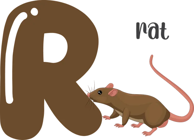 Rato  Ilustração