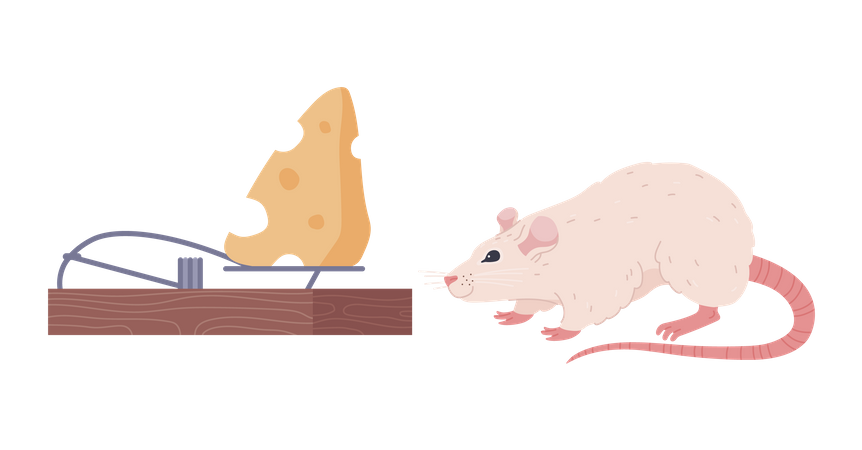 Rato cheirando queijo na ratoeira  Ilustração
