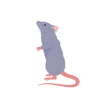 Rato fofo em pé,  Ilustração
