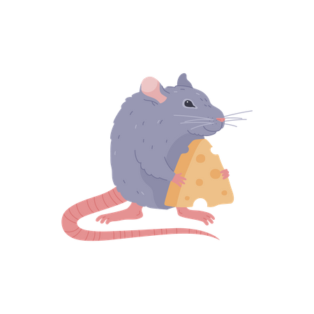 Rato segurando queijo  Ilustração