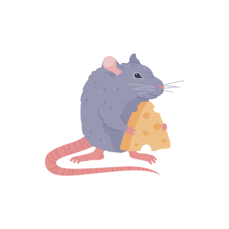 Rato segurando queijo  Ilustração