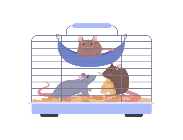 Rats in cage  일러스트레이션