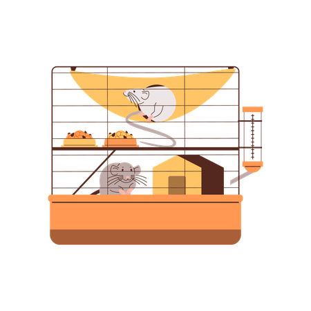 Rats in the hamster cage  Illustration