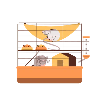 Rats in the hamster cage  Illustration