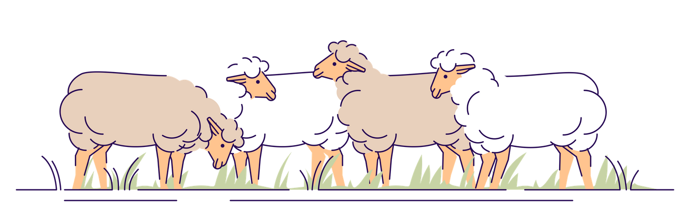 Rebanho de ovelhas no pasto  Ilustração