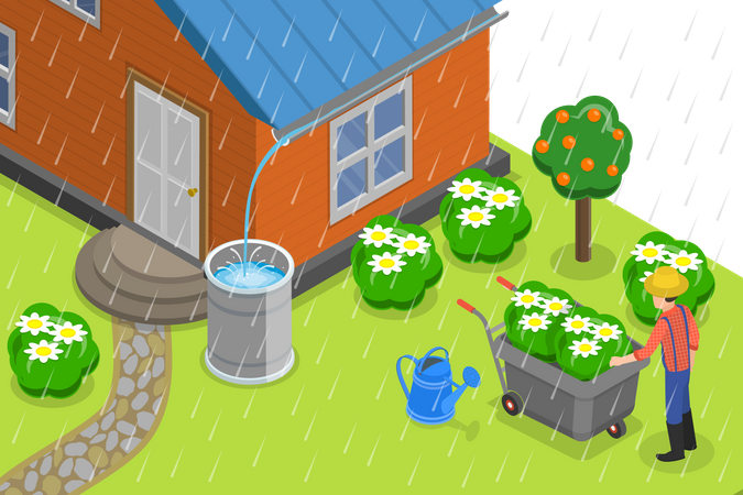 Agua de lluvia en las cosechas  Ilustración