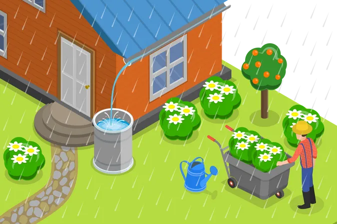 Agua de lluvia en las cosechas  Ilustración