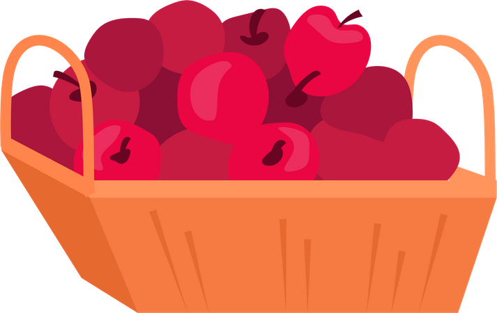 Récolte de pommes mûres  Illustration