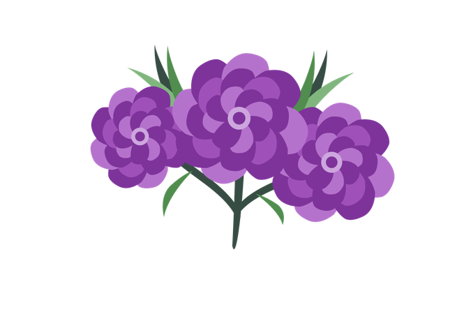 Red Carnation Flower  Illustration