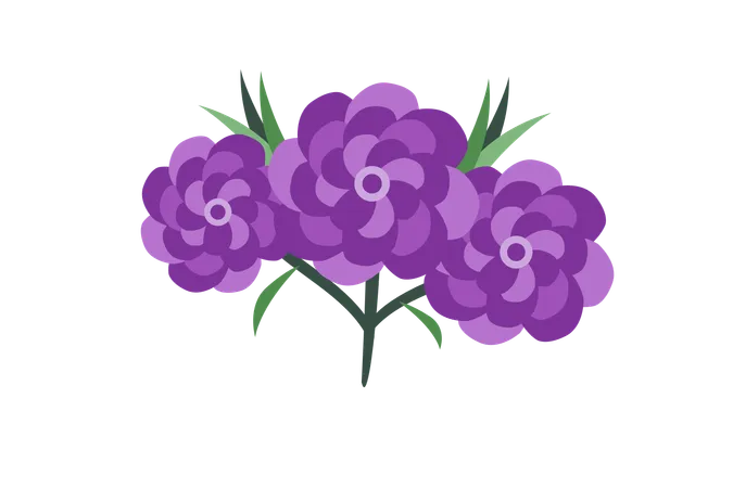 Red Carnation Flower  Illustration